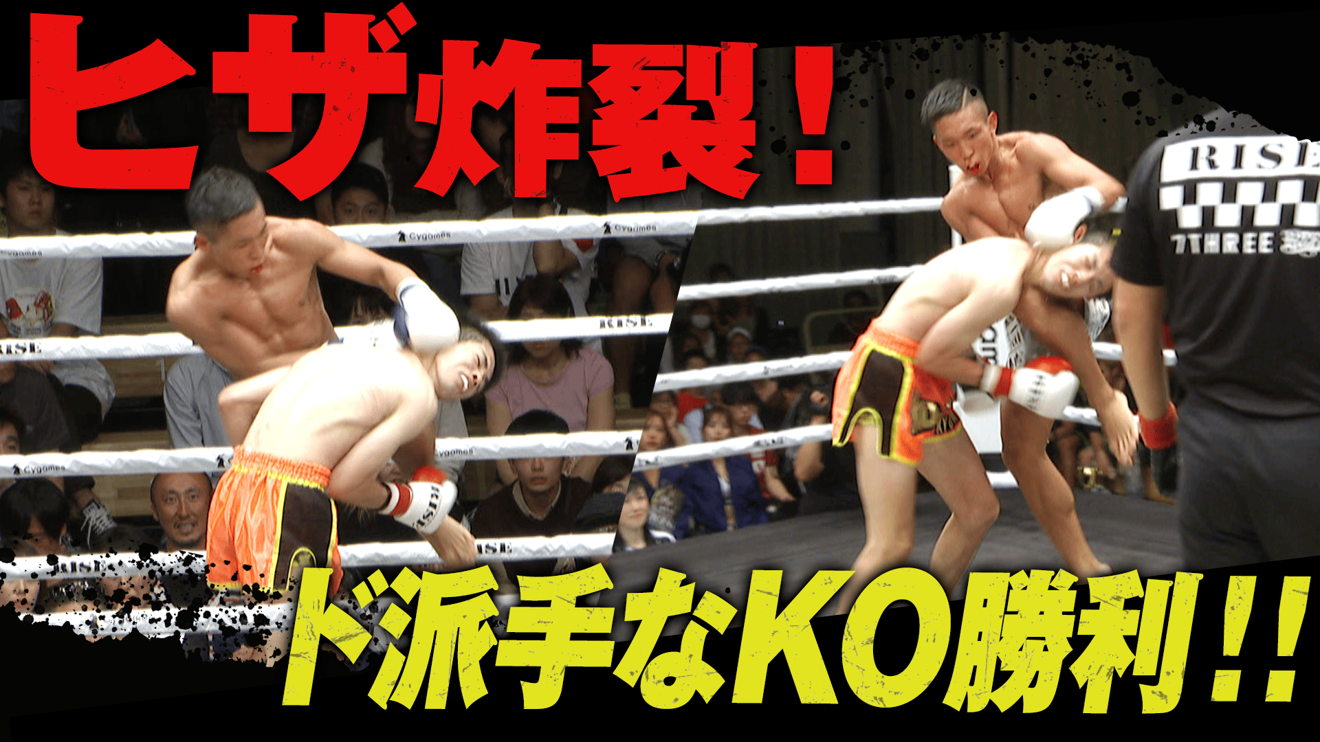 RISE 2019 - 9.29 RISE134 - 【強烈ヒザ炸裂!!豪快KO!】大澤辰徳 vs 虎