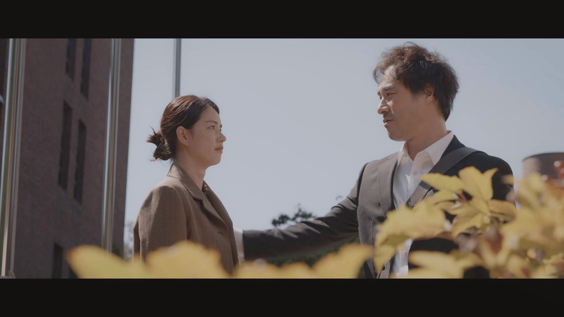 熱血弁護士 パク・テヨン ~飛べ、小川の竜~ (韓国・中国ドラマ