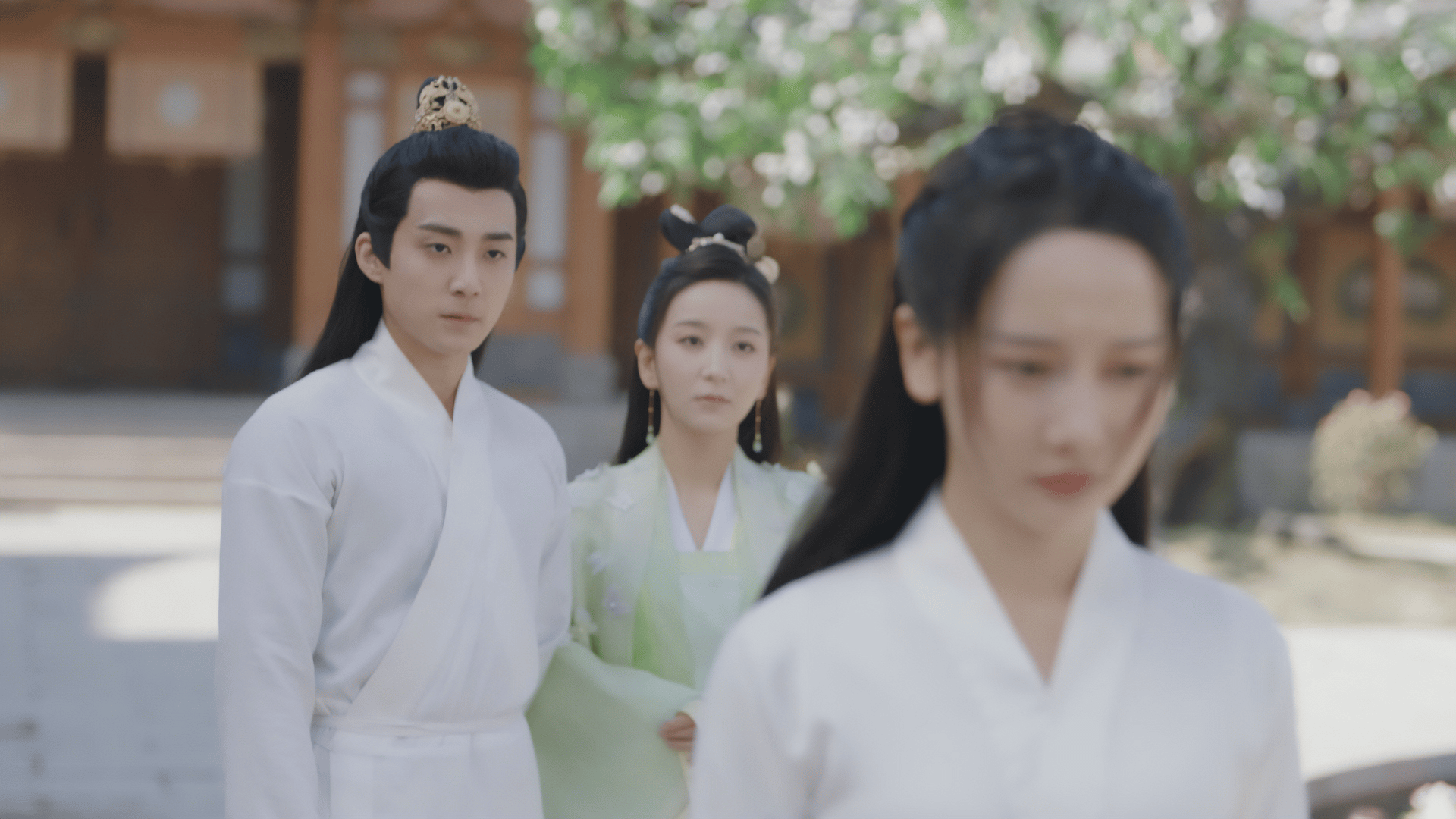 ロマンスは椿の花のように (韓国・中国ドラマ) | 無料動画・見逃し配信