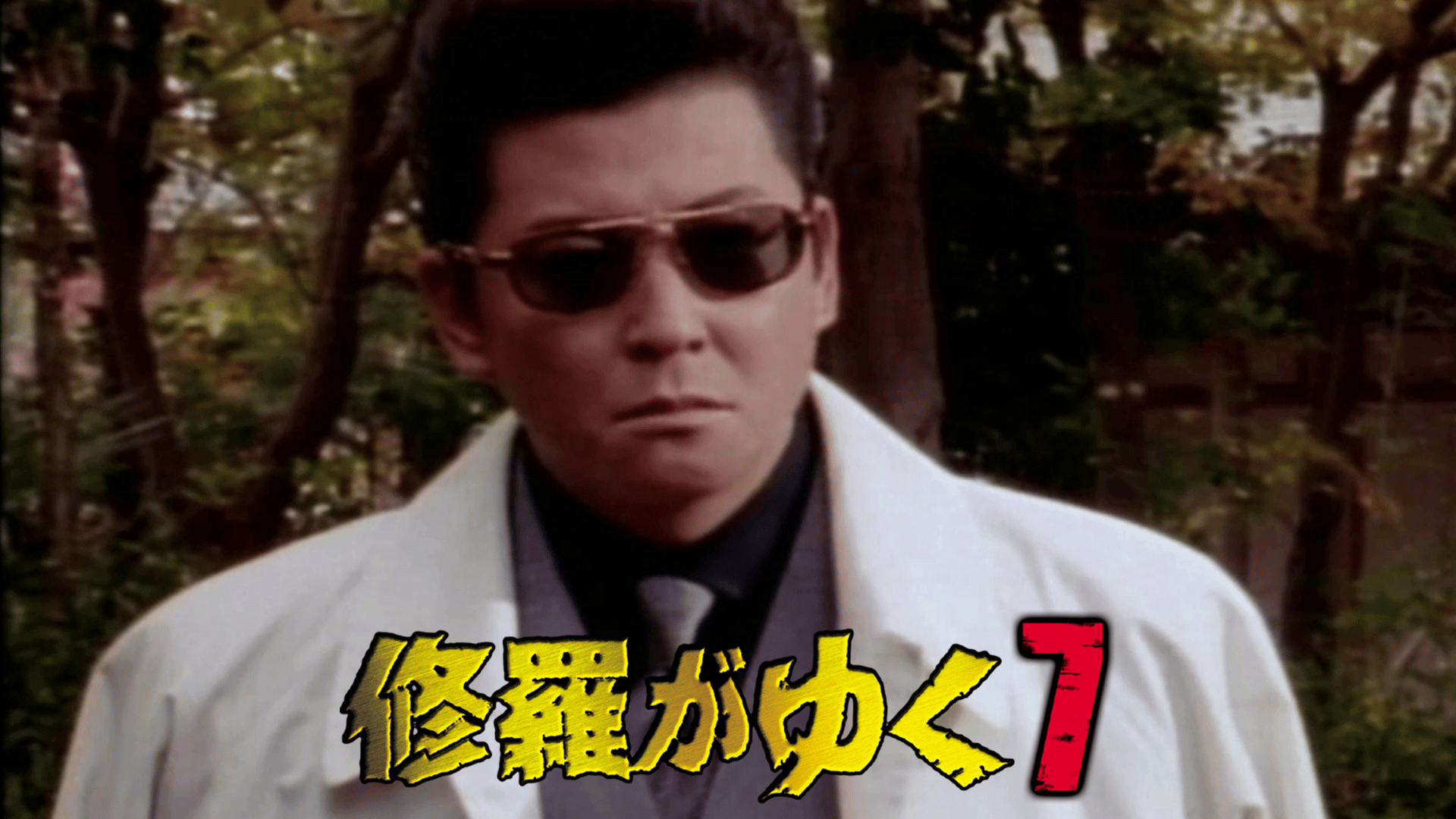 修羅がゆく 全13巻セット 完結 DVD 映画 劇場版 極道 抗争 ヤクザ