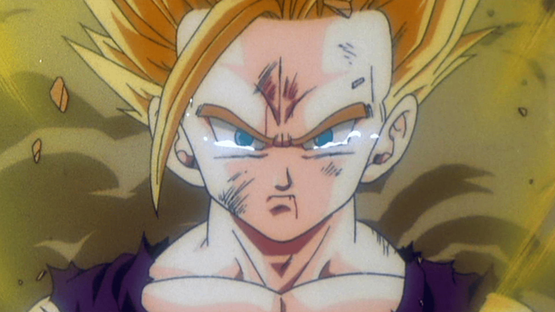 ドラゴンボール　孫悟飯　セル 　ベジータ ドラゴンボールZ 孫悟飯 魔人ベジータ セル 天津飯 アンドロイド18号