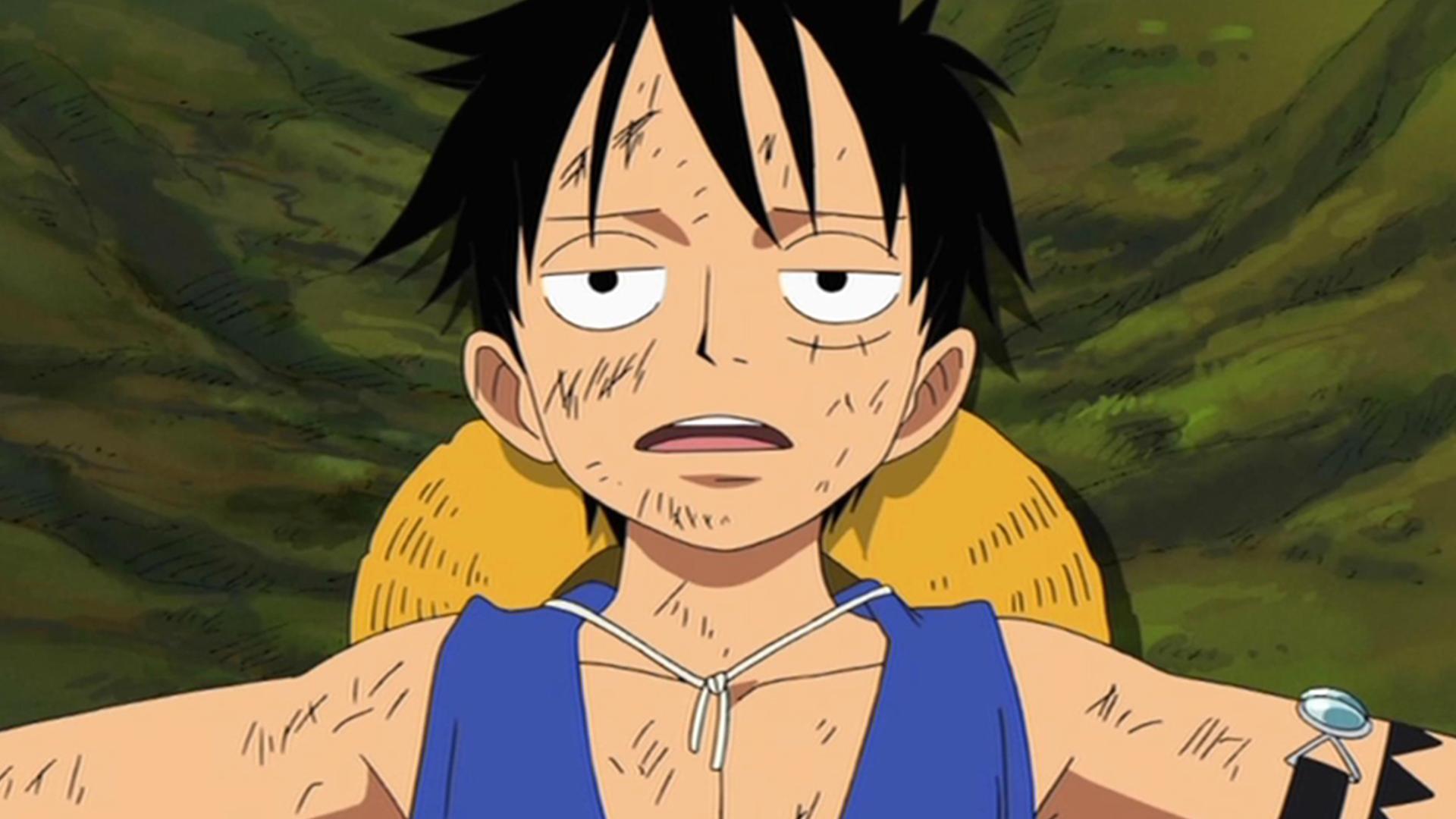 ワンピース - 女ヶ島編 - 408話 (アニメ) | 無料動画・見逃し