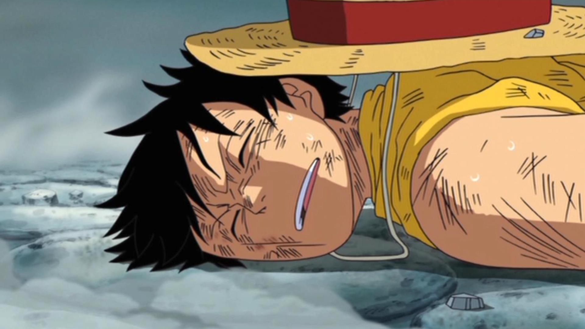 ルフィ・海賊団 ポートフォリオ A4サイズ ルフィ・海賊団