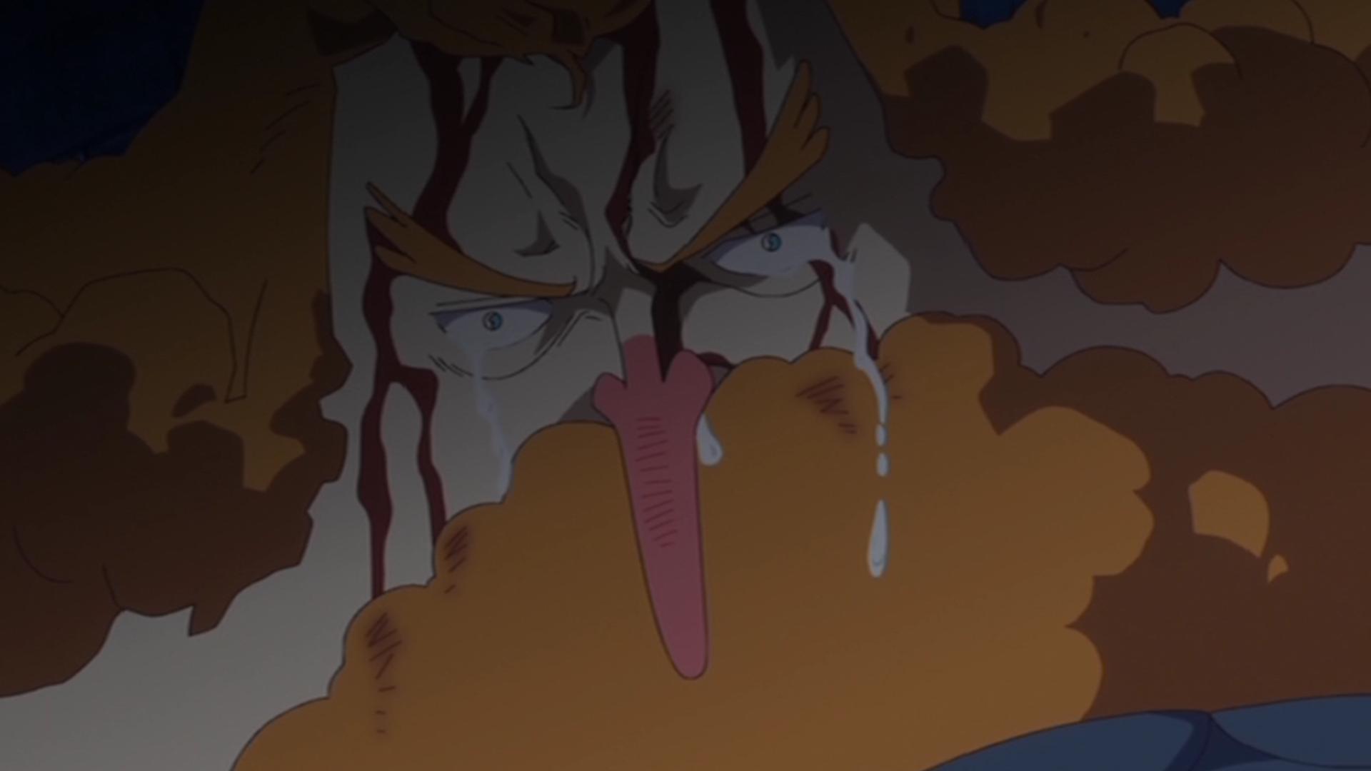 ワンピース - 魚人島編 - 547話 (アニメ) | 無料動画・見逃し配信を