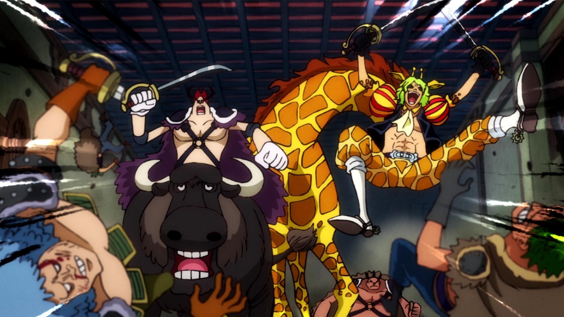 ワンピース ワノ国鬼ヶ島編＋ワノ国完結編＋女ヶ島＋ローvs黒ひげ海賊団セット ワンピース ワノ国鬼ヶ島編＋ワノ国完結編＋女ヶ島＋ロー