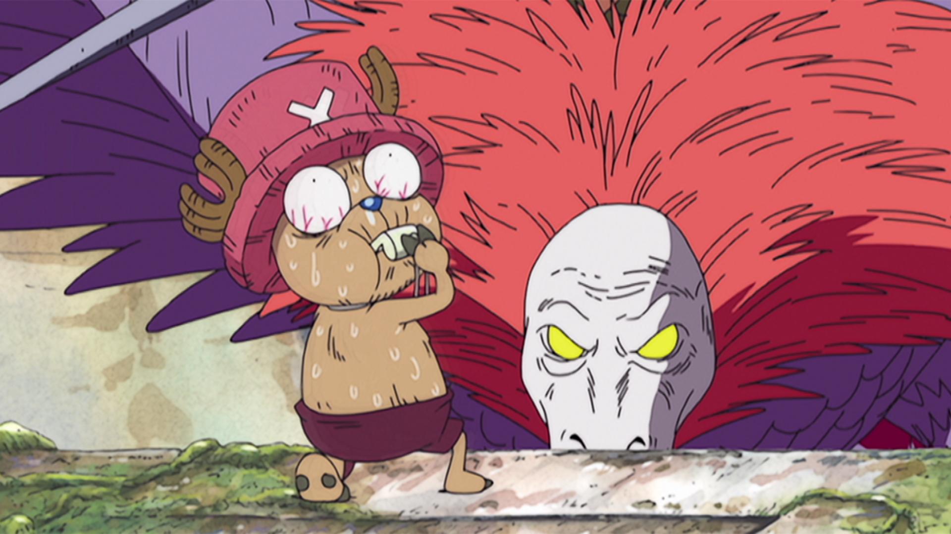 ワンピース アニメ ワンピース - イーストブルー編 - 45話 (アニメ) | 無料動画・見逃し