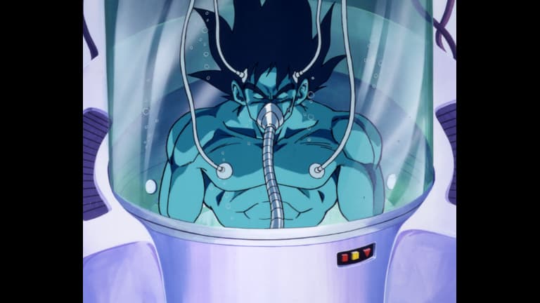 ドラゴンボールZ たったひとりの最終決戦 フリーザに挑んだZ ドラゴンボールZ たったひとりの最終決戦 フリーザに挑んだZ