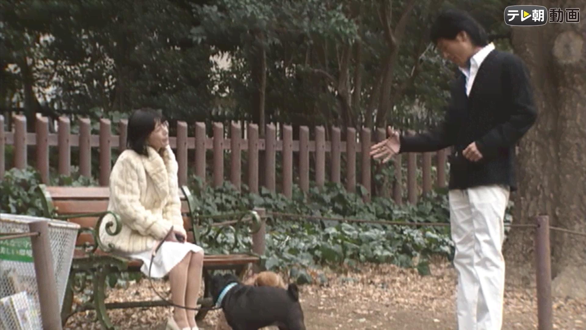 特命係長 只野仁 - 2005年1月~3月放送 - 17話 (ドラマ) | 無料動画