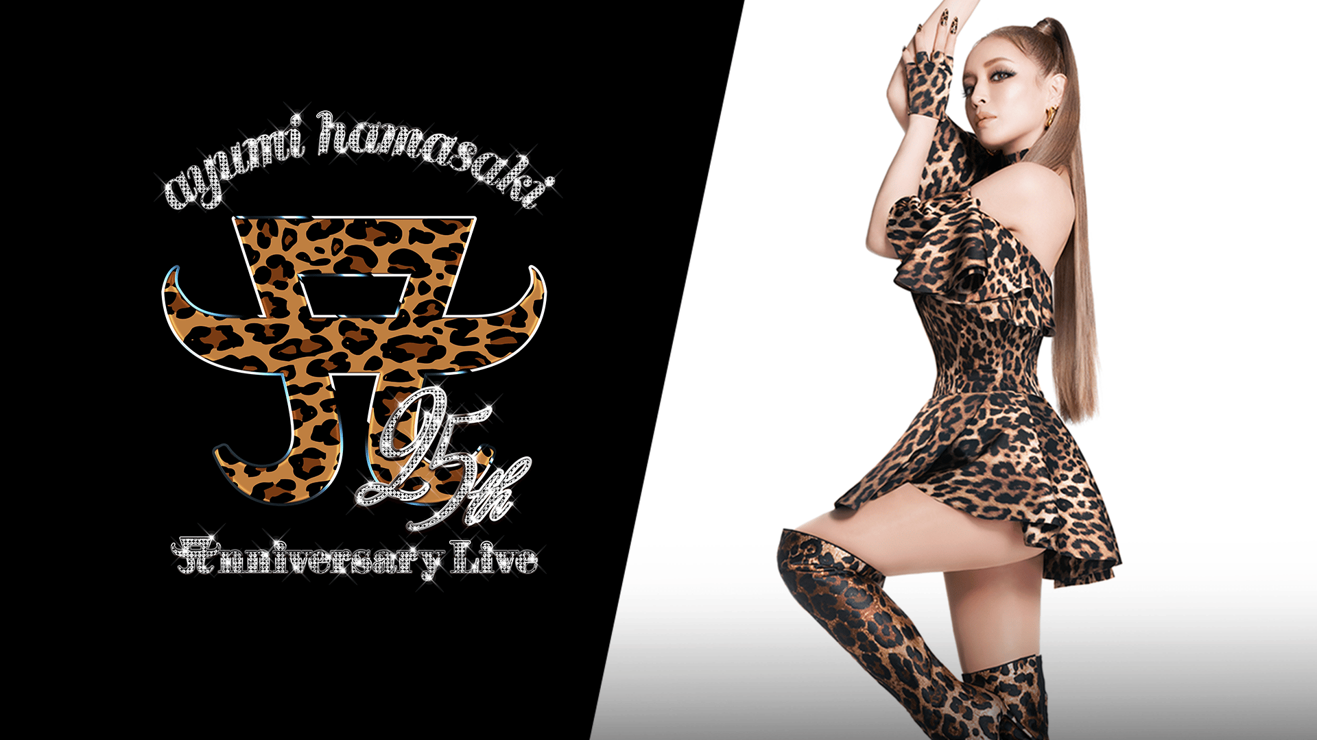 最終値下げ 浜崎あゆみ 25th anniversary LIVE 初回限定版