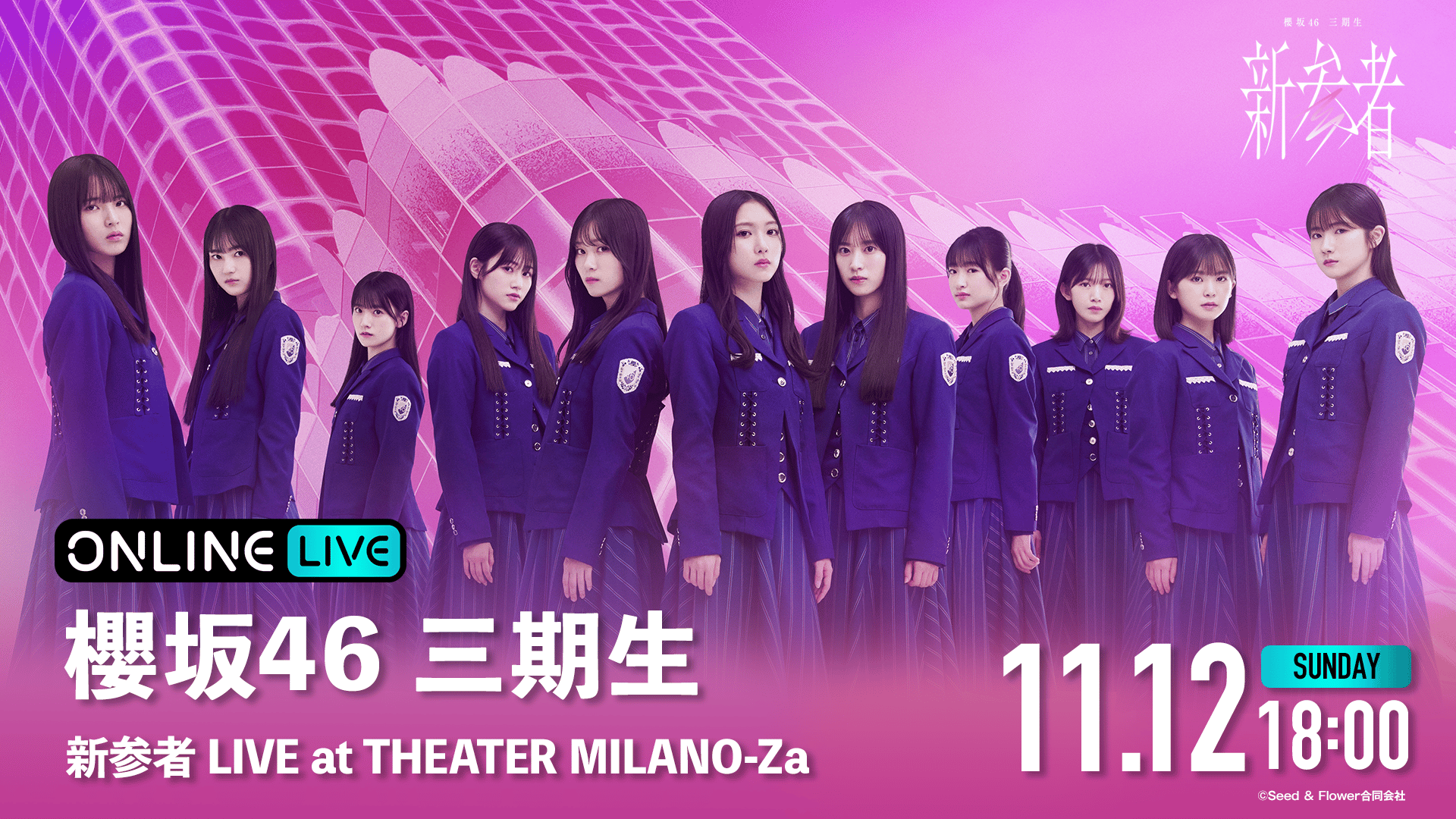 櫻坂46三期生「新参者 LIVE at THEATER MILANO-Za」11/12
