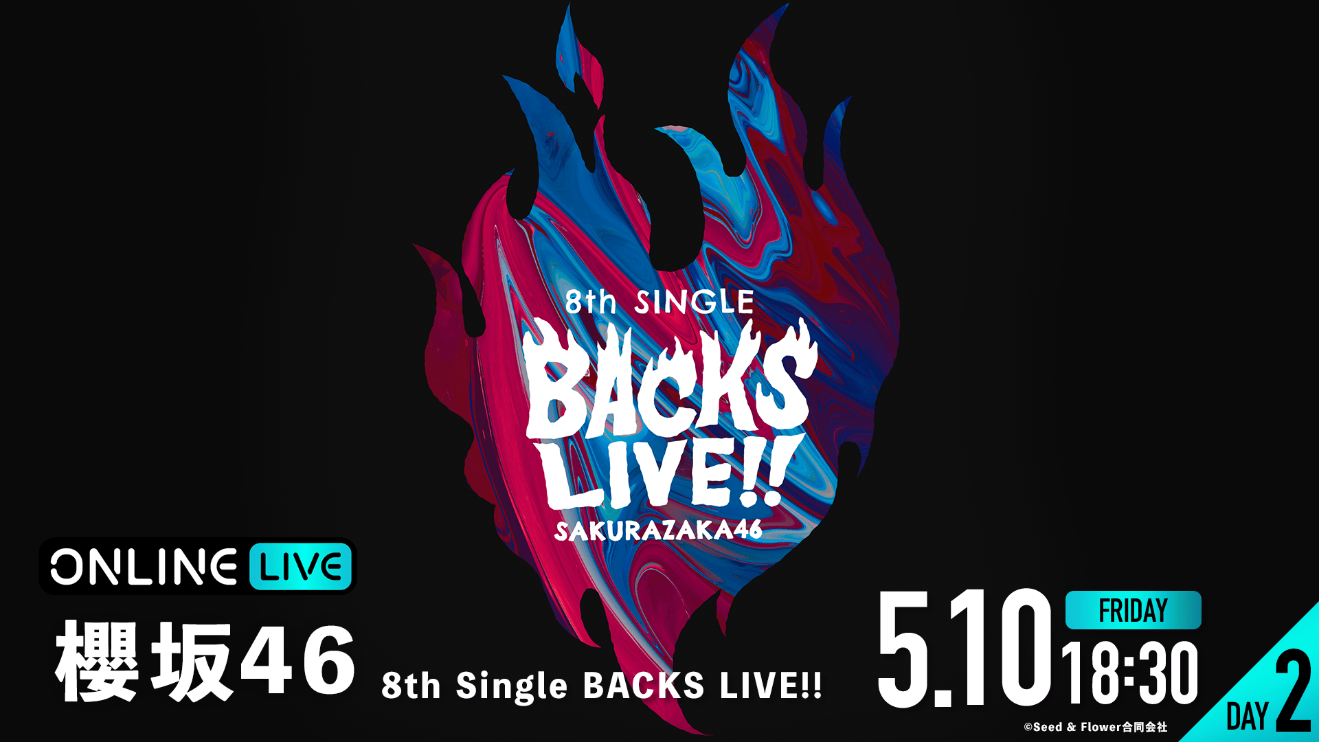 0*9様 櫻坂46 10th Single BACKS LIVE!! ビッグパー 0*9様 櫻坂46 10th Single BACKS LIVE!! ビッグパー - メルカリ