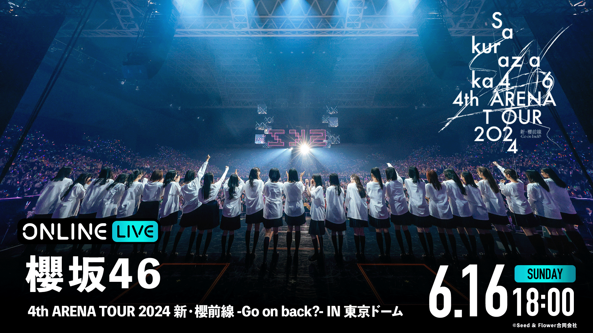 櫻坂46 4th arena tour 2024 直筆入り生写真 櫻坂46】『4th ARENA TOUR 2024 新・櫻前線 -Go on back?-』開催