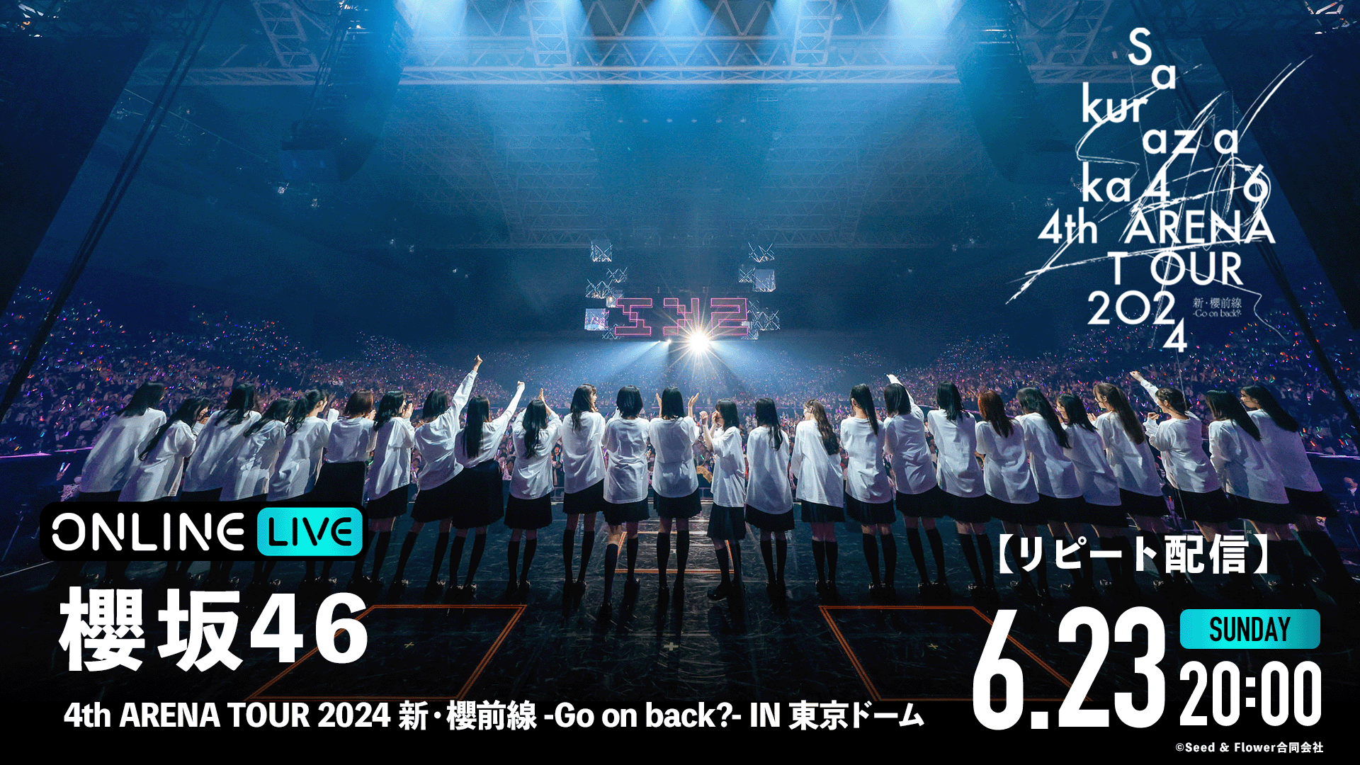 櫻坂46 4th ARENA TOUR 2024ボンディング ビッグ パーカー Amazon.co.jp: 櫻坂46 ボンディングビッグパーカー ARENA TOUR