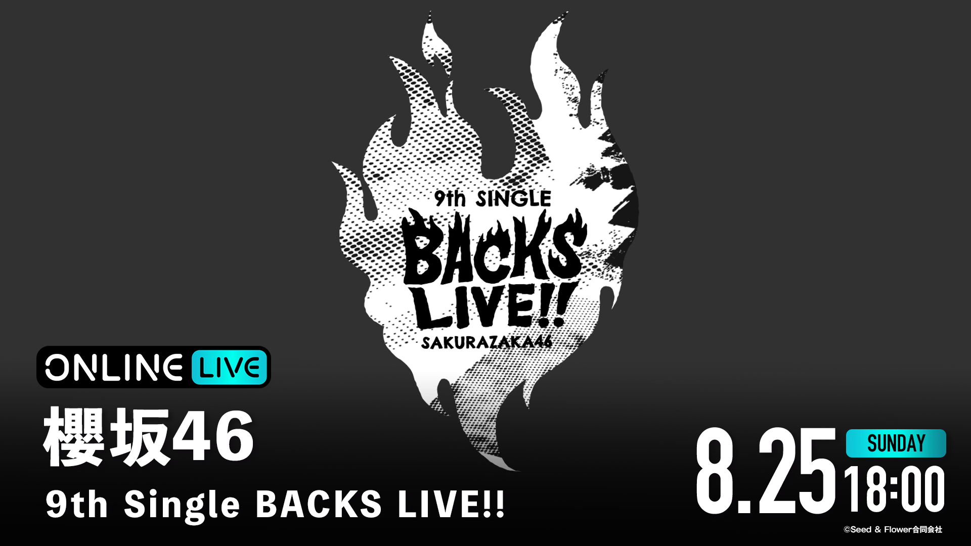 櫻坂46 デニムキーホルダー 9th Single BACKS LIVE!! 櫻坂46 デニム