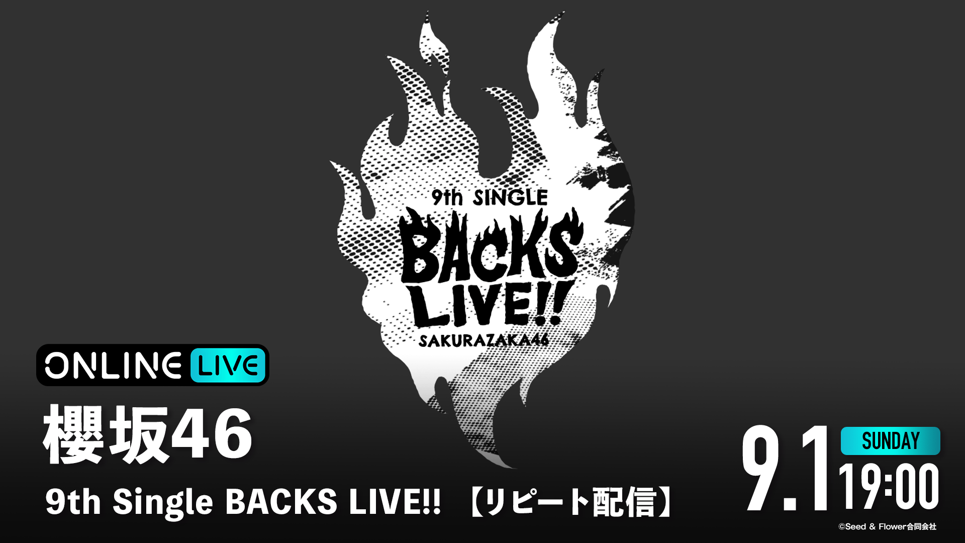 0*9様 櫻坂46 10th Single BACKS LIVE!! ビッグパー 0*9様 櫻坂46 10th Single BACKS LIVE!! ビッグパー 0*9