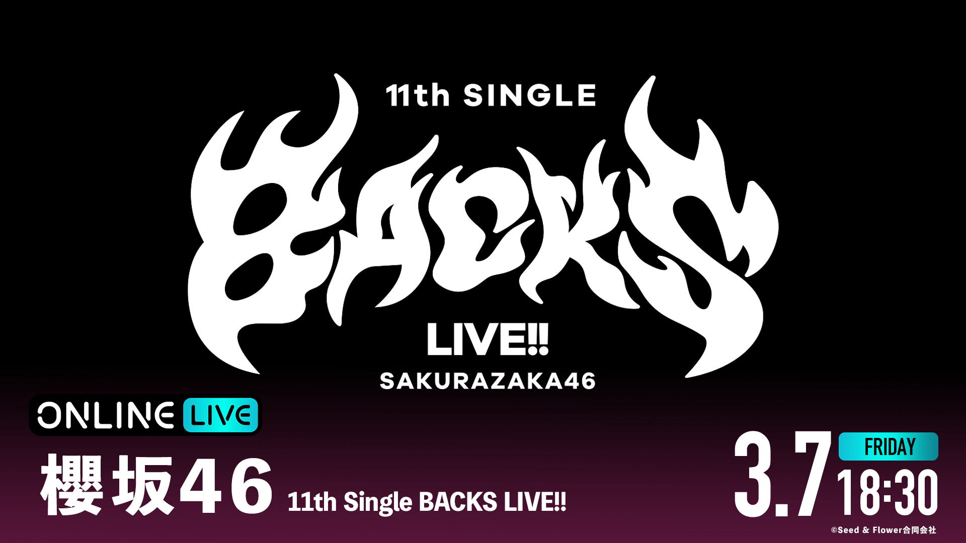 0*9様 櫻坂46 10th Single BACKS LIVE!! ビッグパー 櫻坂46 「10th