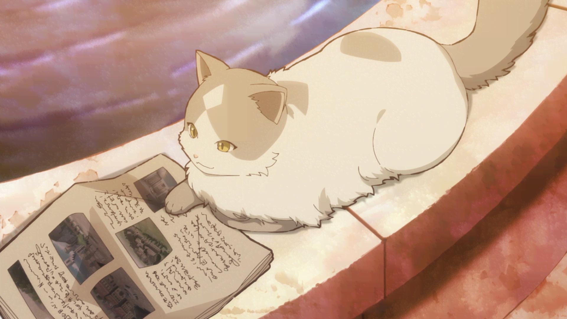 猫と竜 #8【地上波1週間先行・最速】 | 新しい未来のテレビ | ABEMA