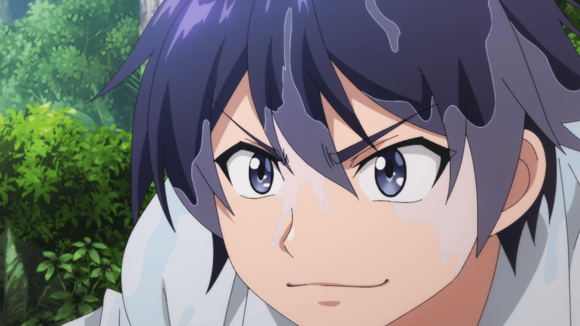 DVD/TVアニメ/真・進化の実〜知らないうちに勝ち組人生〜 DVD BOX 進化の実 知らないうちに勝ち組人生 \u201d の DVDラベルです | meechanmama