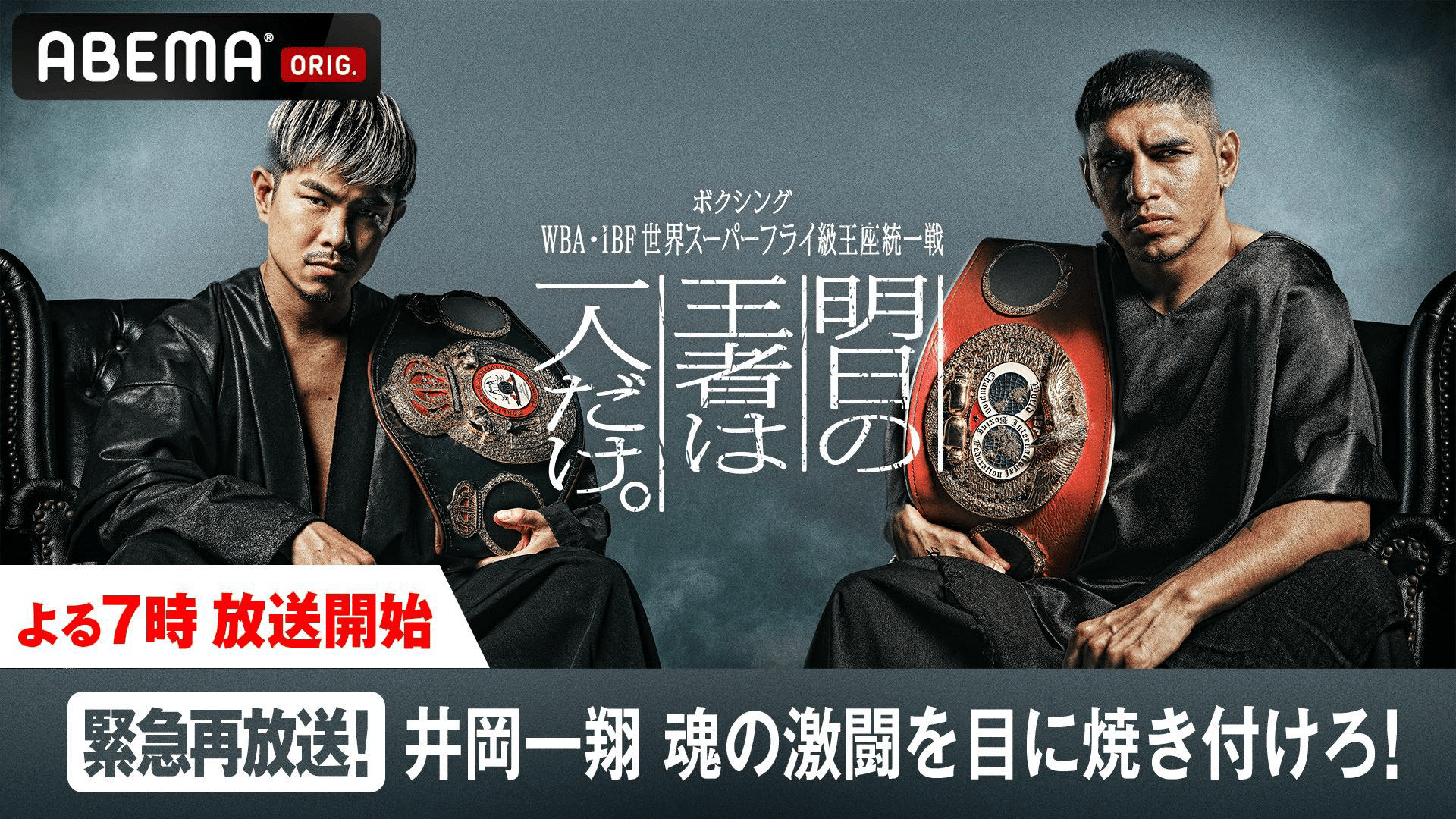 井岡一翔 vs マルティネス 緊急再放送！魂の激闘 | 新しい未来のテレビ