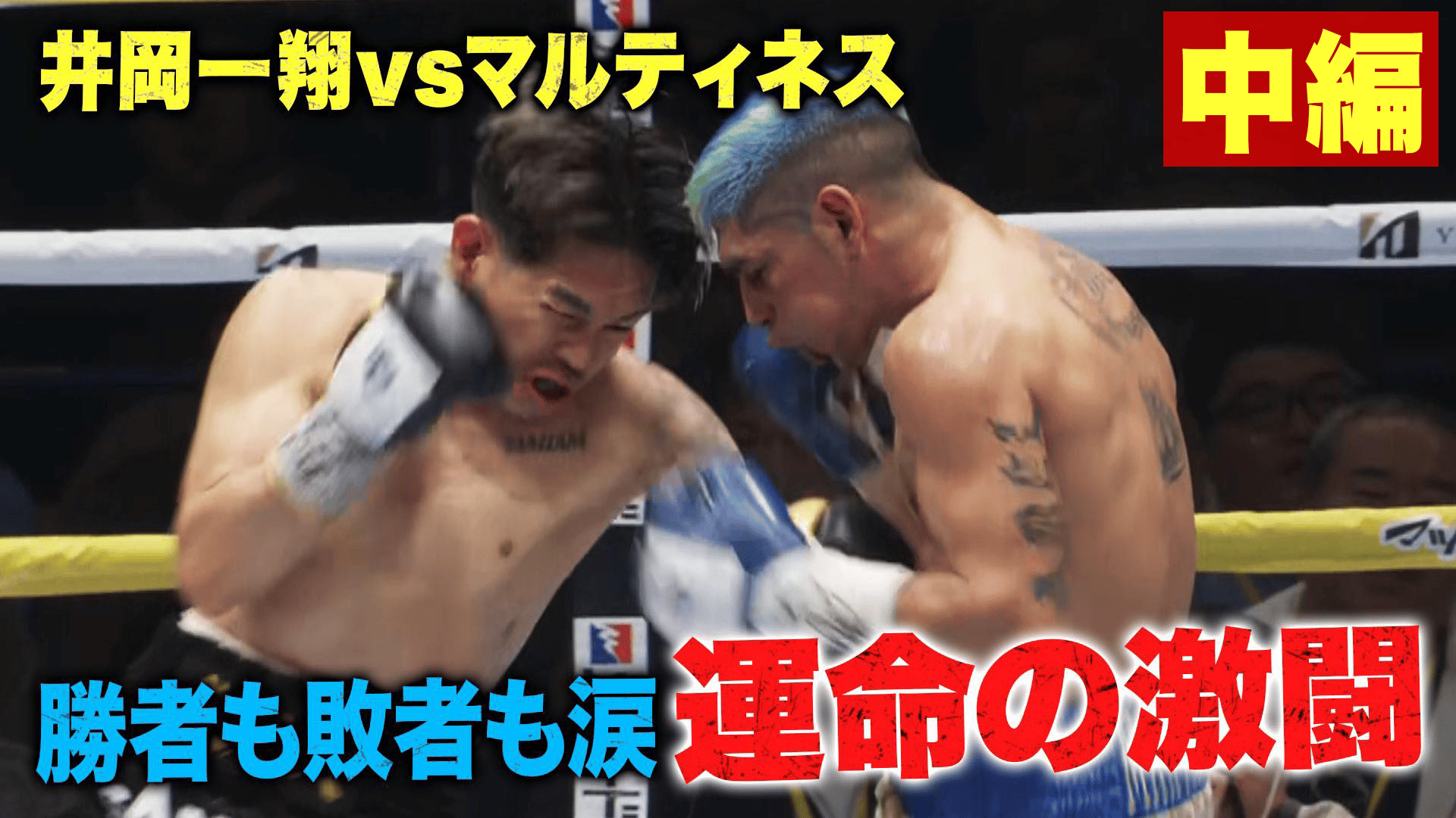 LIFETIME BOXING FIGHTS - LIFETIME BOXING FIGHTS 22 - 【中編】井岡