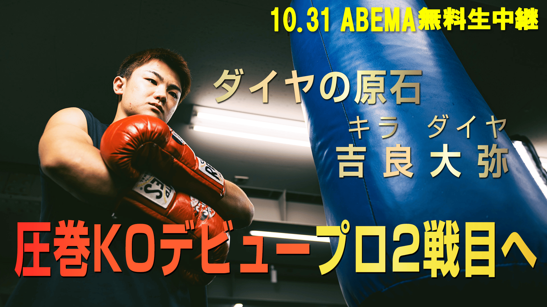LIFETIME BOXING FIGHTS - LIFETIME BOXING FIGHTS 24 - 【日本