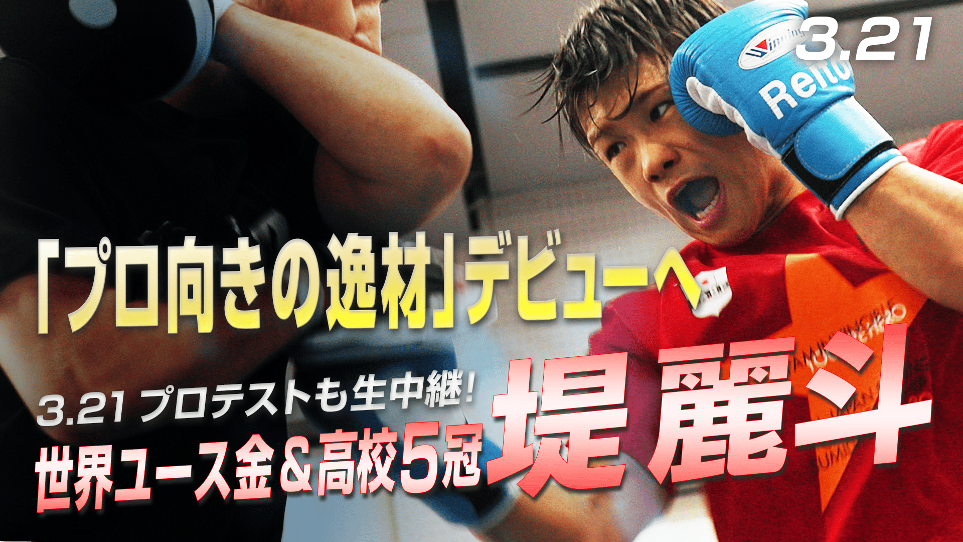 LIFETIME BOXING FIGHTS - LIFETIME BOXING FIGHTS 26 - 【堤麗斗