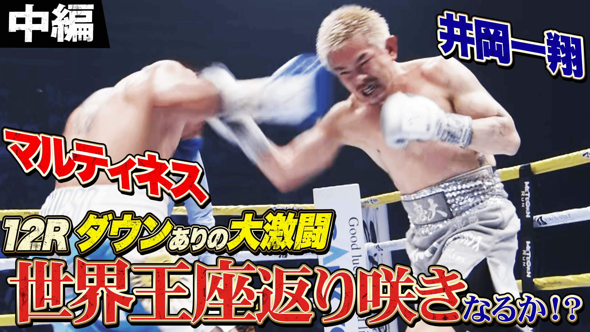 WBA世界スーパーフライ級タイトルマッチ　井岡一翔　チケット 12月31日 12月31日（火）大みそかにABEMAにて無料生放送！井岡一翔選手