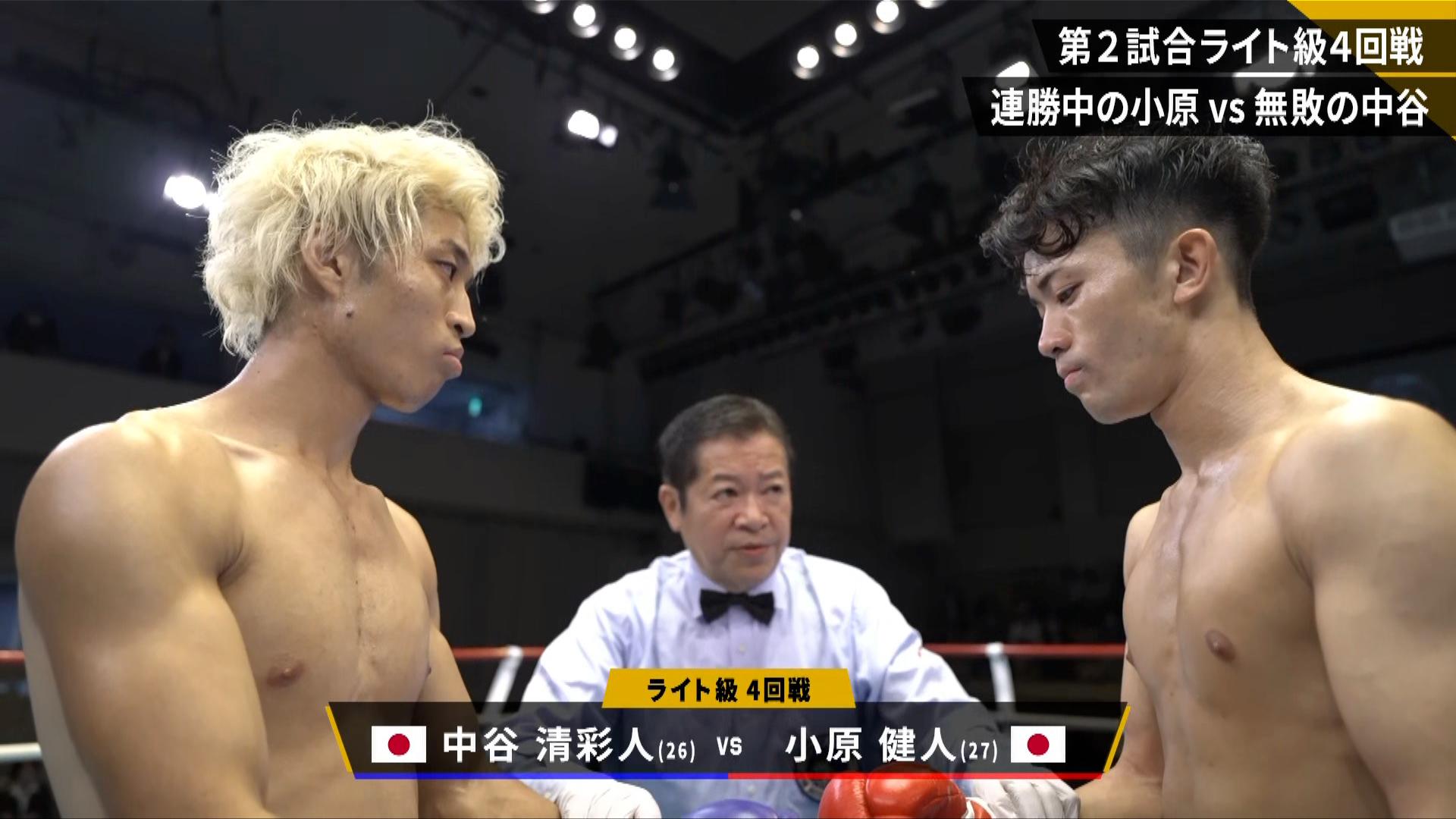 LIFETIME BOXING FIGHTS - 10.13 (格闘) | 無料動画・見逃し配信を見る