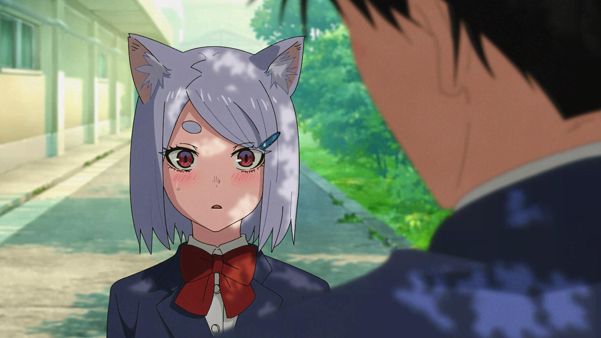 ヤニねこ - シーズン1 - 5話 (アニメ) | 無料動画・見逃し配信を見る