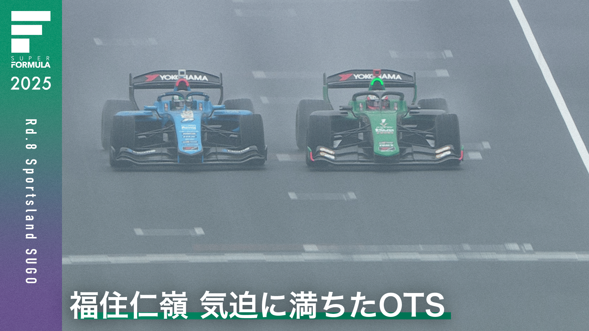 ネコ 速修インプット 2025 2025【新品】矢島の速修インプット