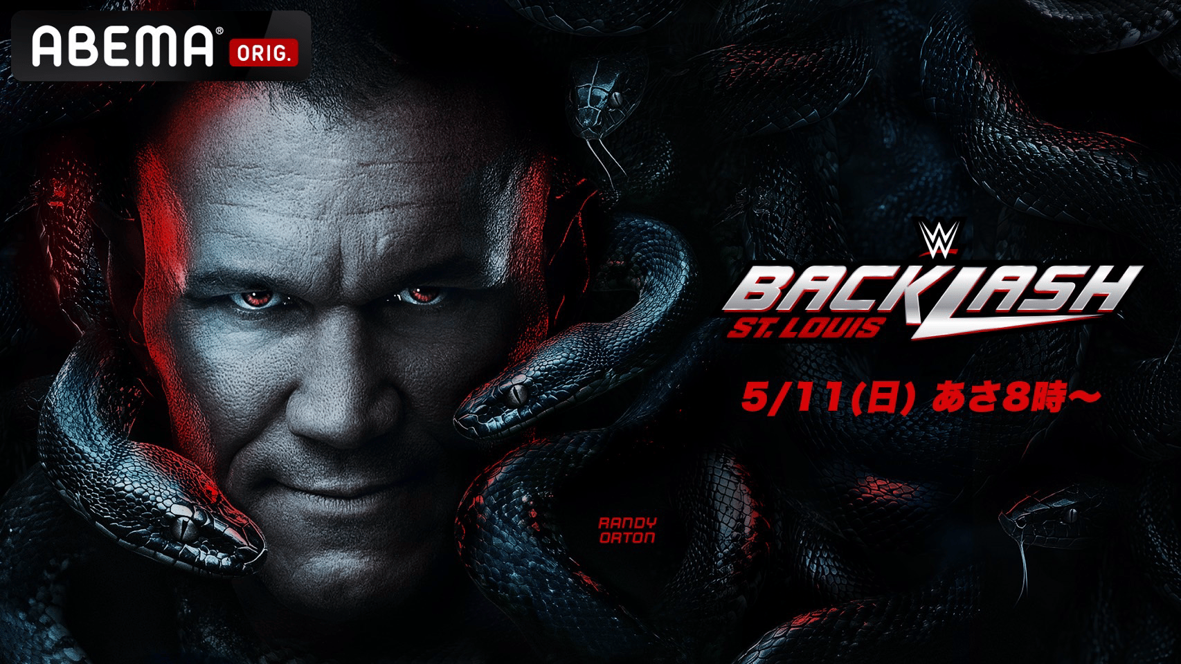 WWE DVD セット バックラッシュ・ノーメルシーなど8本 Amazon.com: WWE: Ultimate 2023 8-Volume DVD Collection