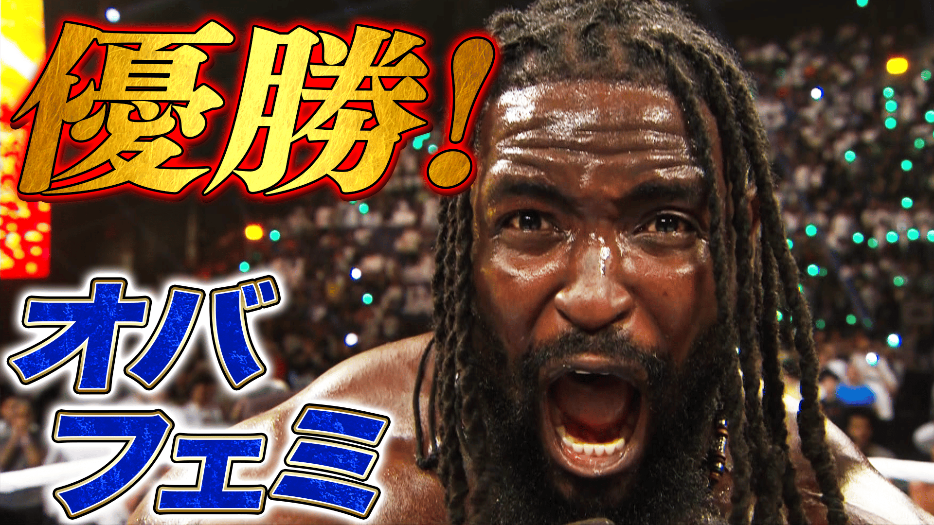 WWE プレミアムライブイベント - ナイト・オブ・チャンピオンズ