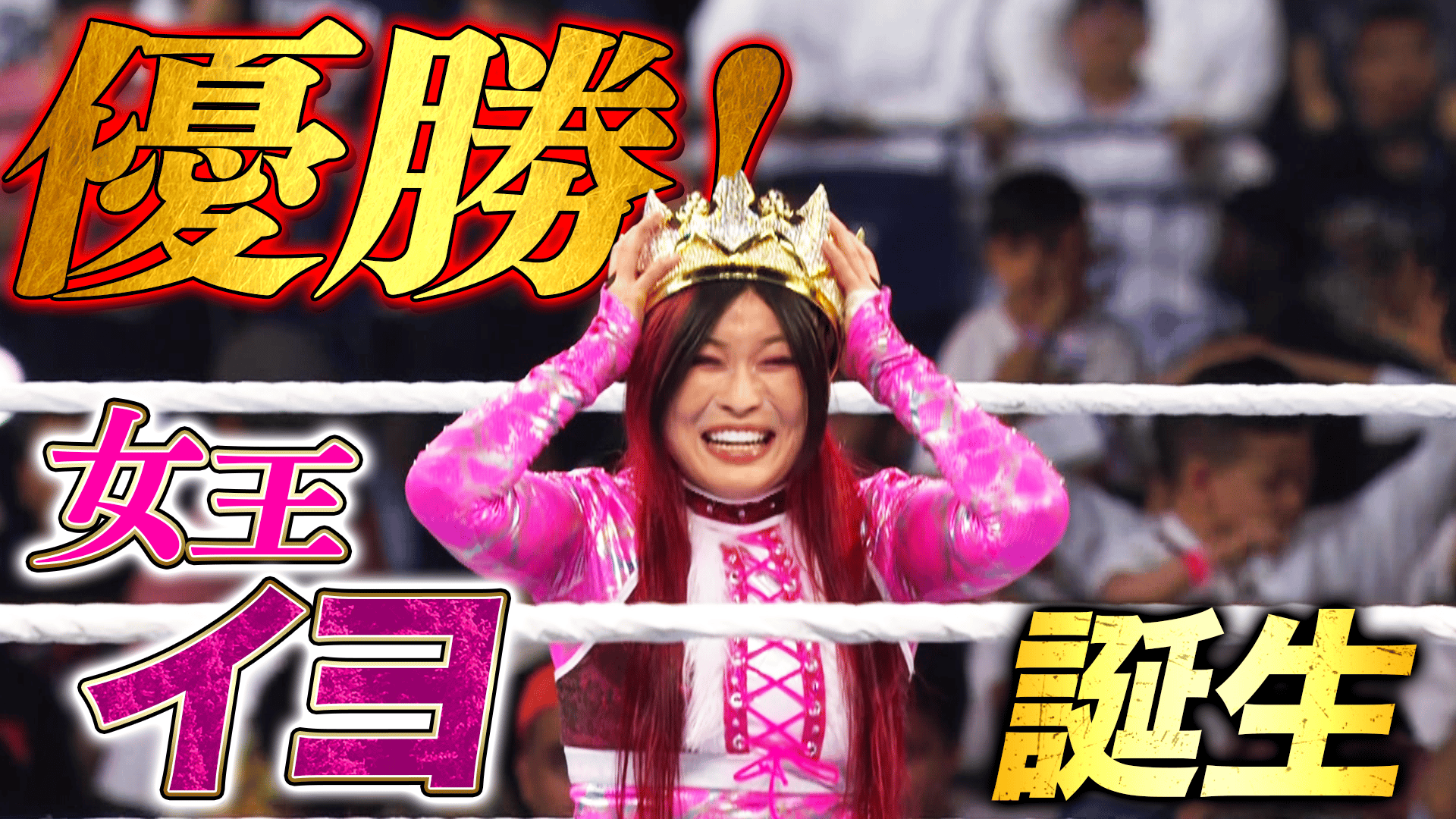 WWE プレミアムライブイベント - ナイト・オブ・チャンピオンズ
