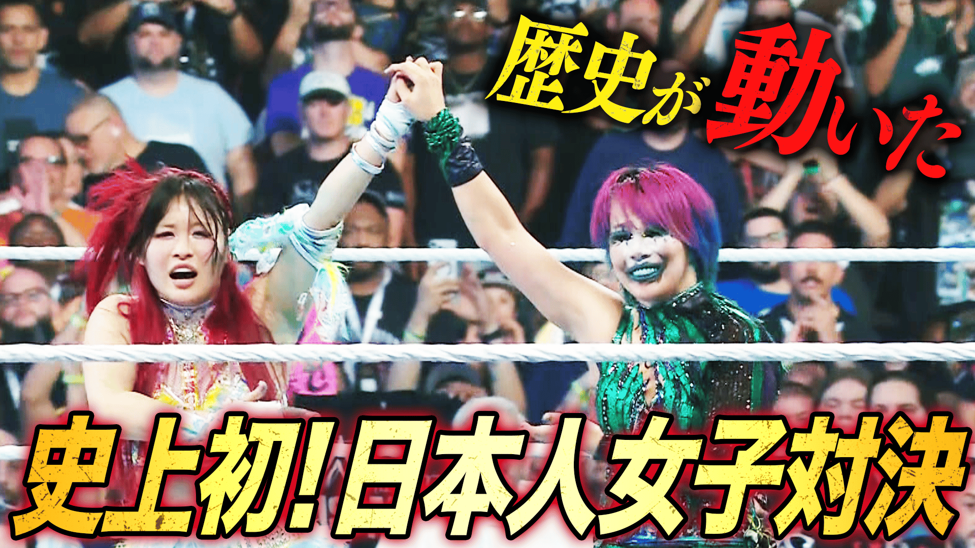 WWE プレミアムライブイベント - バックラッシュ - イヨ・スカイ vs