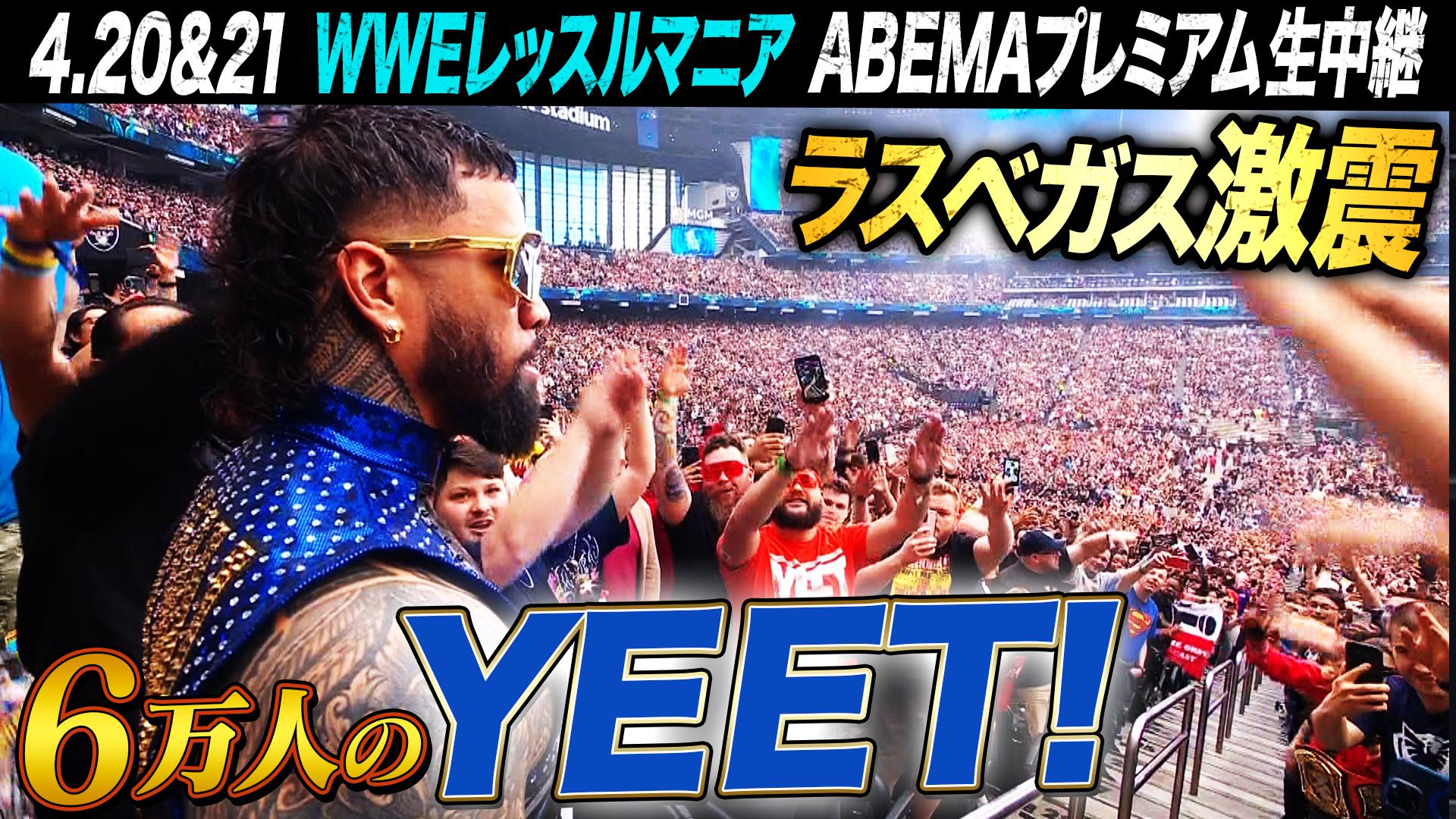 WWE プレミアムライブイベント - レッスルマニア - ○世界ヘビー級