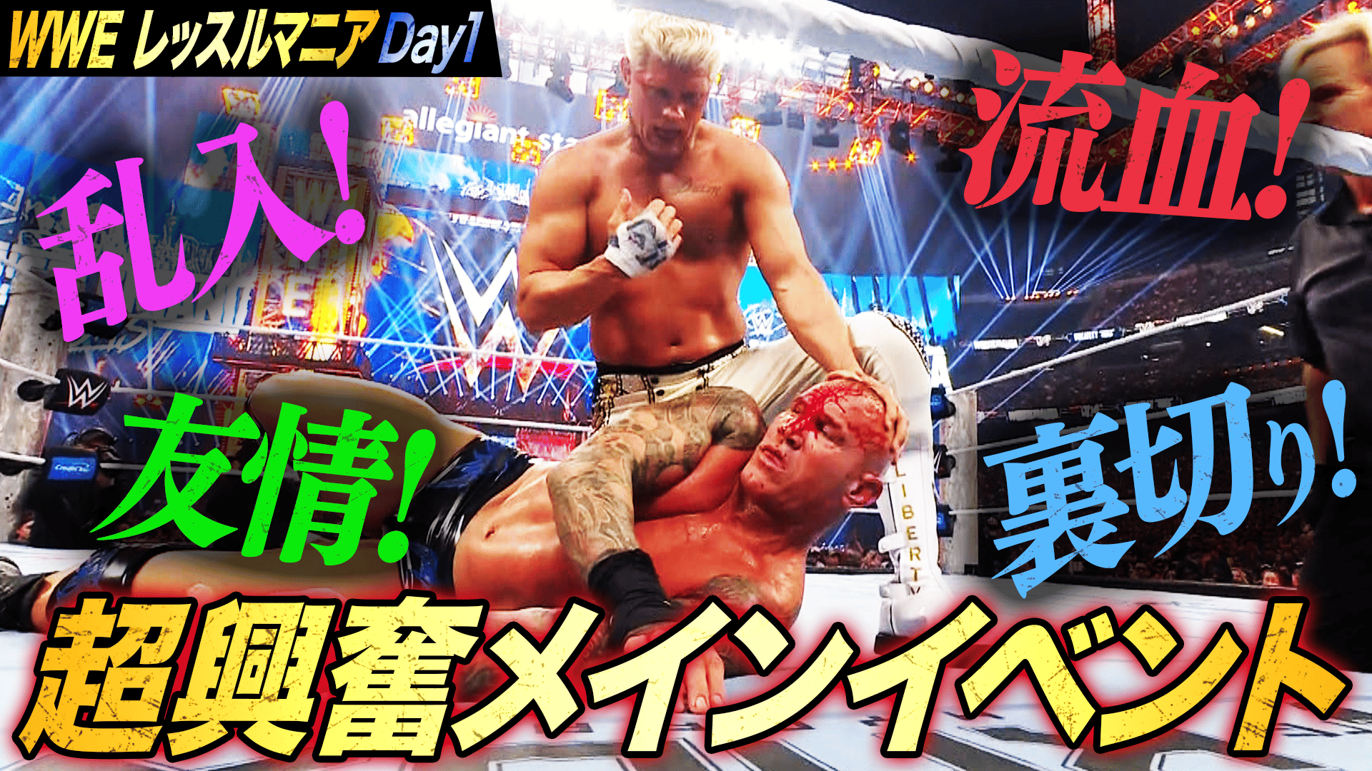 WWE プレミアムライブイベント - レッスルマニア - 統一WWE選手権