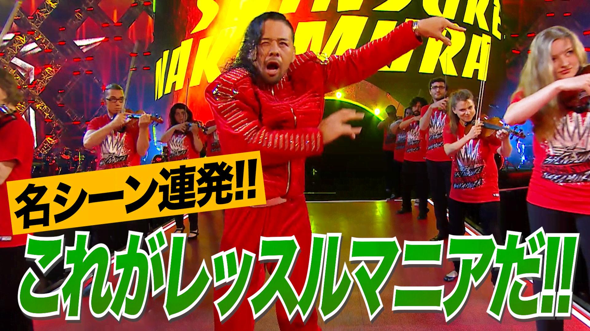 WWE プレミアムライブイベント - レッスルマニア - これを見れば分かる