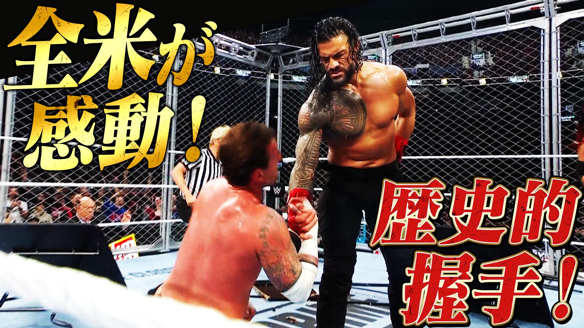 WWE ディーバ　プレミアムBOX WWE ディーバ プレミアムBOX WWE ディーバ プレミアムBOX WWE