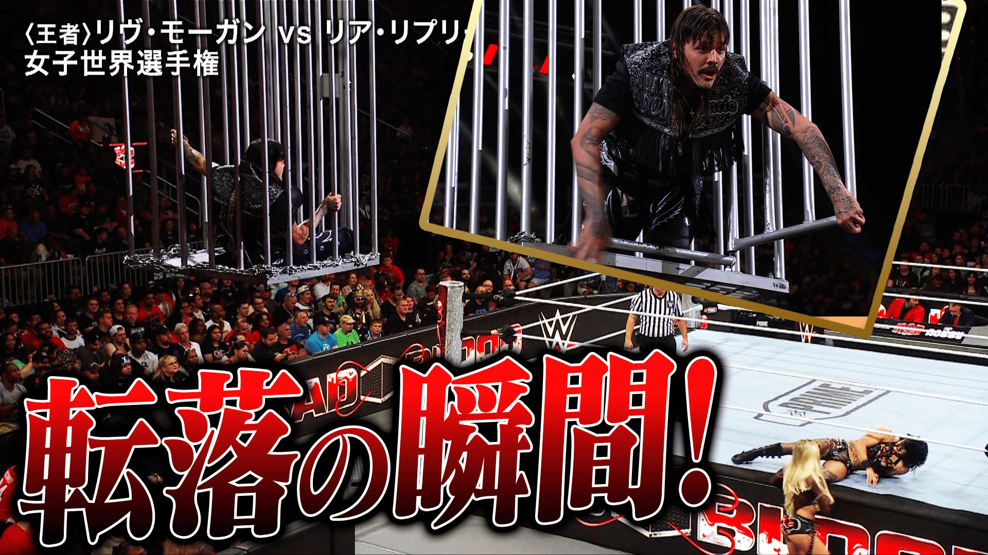 WWE プレミアムライブイベント - Bad Blood - 女子世界選手権 リヴ