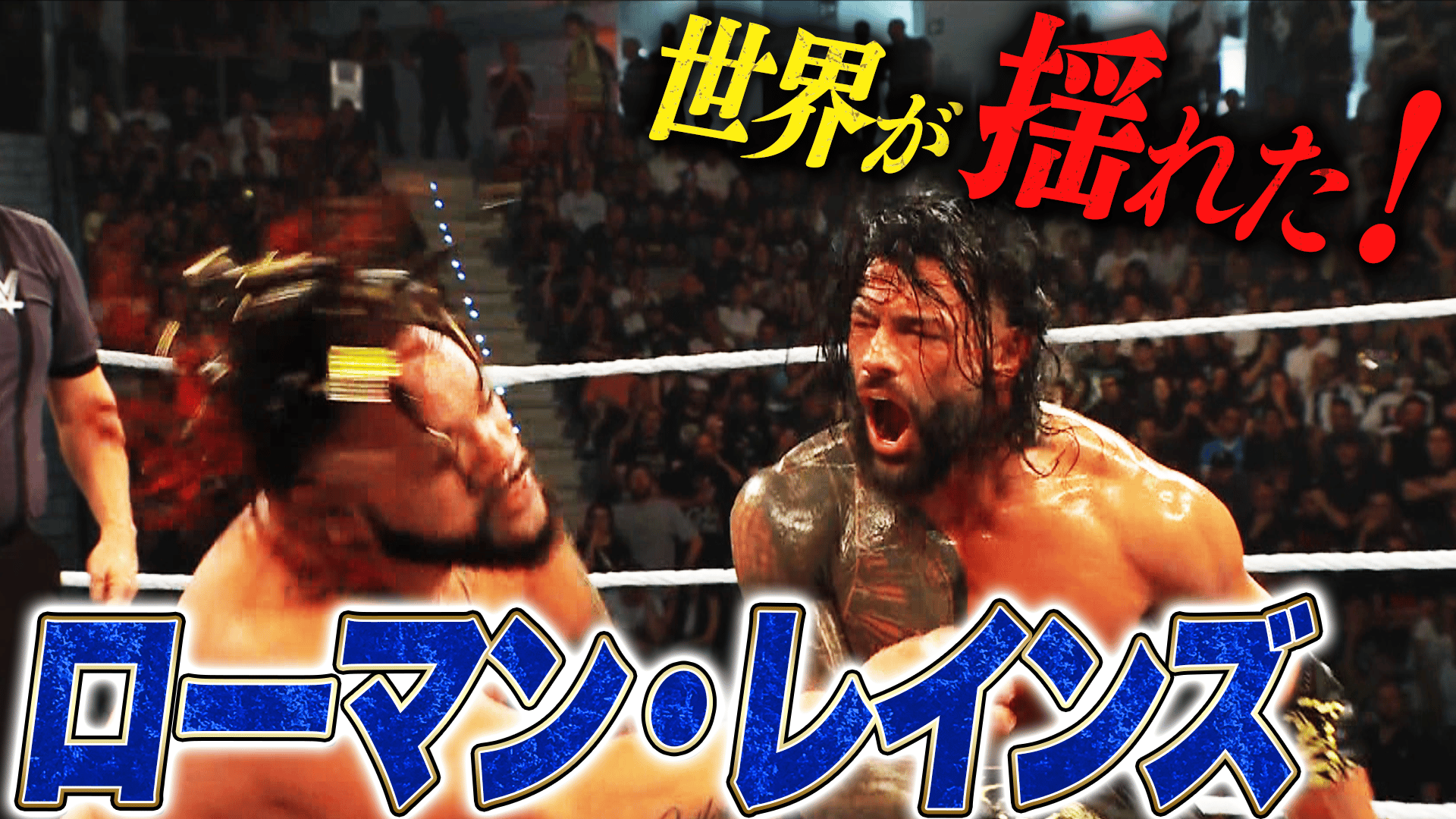 WWE プレミアムライブイベント - WWE クラッシュ・イン・イタリア