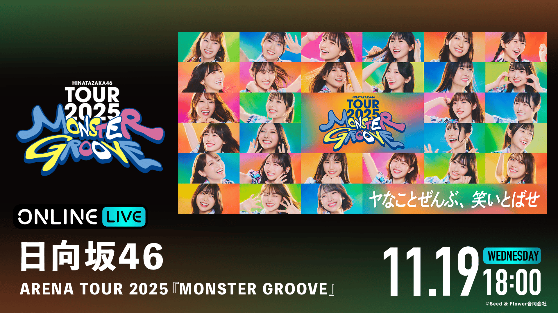 乃木坂、日向坂、欅坂DVD 乃木坂46 欅坂46 日向坂46 DVD BluRay 日向坂