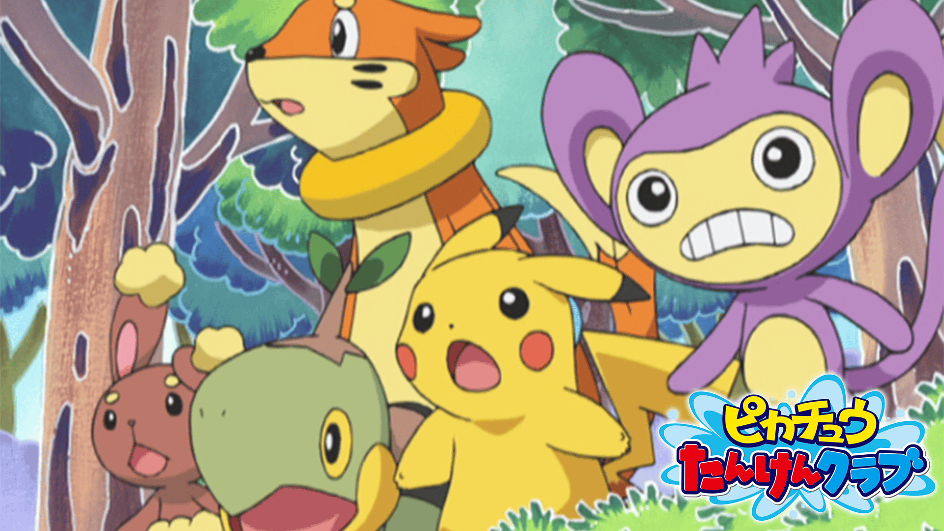 ピカチュウたんけんクラブ【無料ビデオ1週間】 | 新しい未来のテレビ