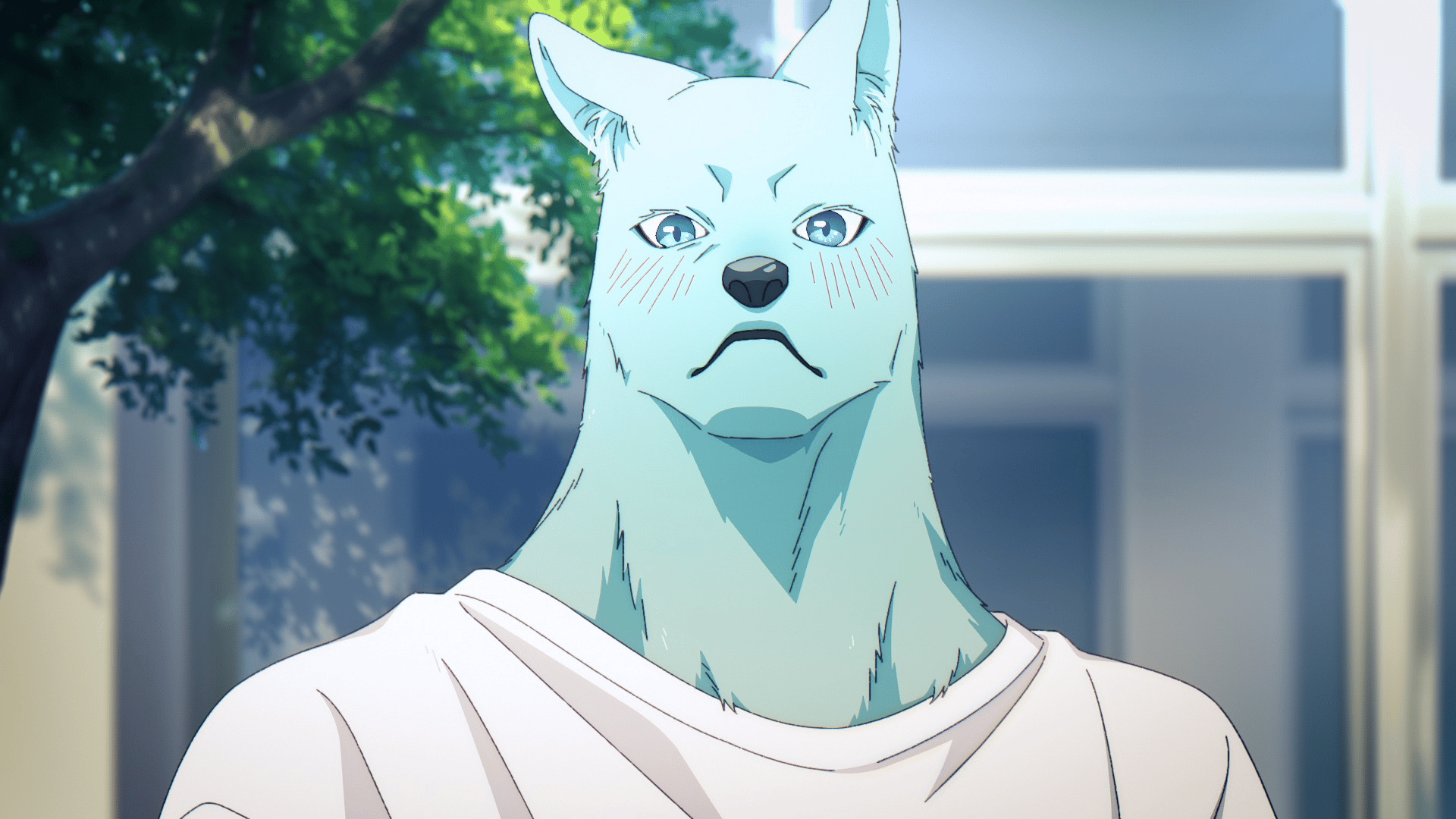 キミと越えて恋になる - シーズン1 - 9話 (アニメ) | 無料動画・見逃し