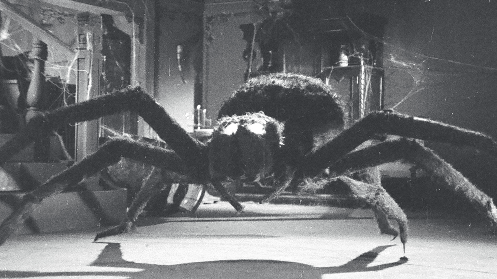 ウルトラQ怪獣　クモ男爵　美品未開封2012年4月Ｍ１号通販100個限定 ウルトラQ怪獣 クモ男爵 美品未開封2012年4月M1号通販