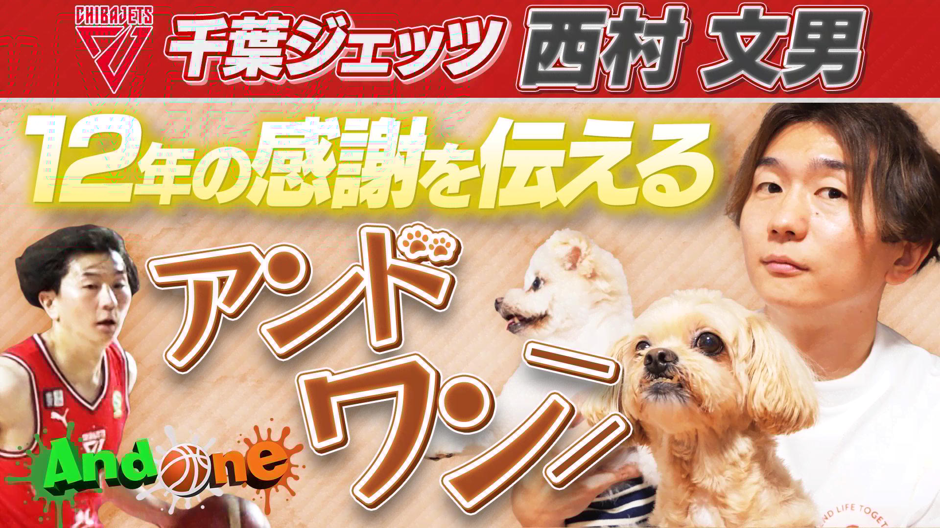 千葉ジェッツ“超Mr.ジェッツ”からワンちゃんたちへ 「12年分の
