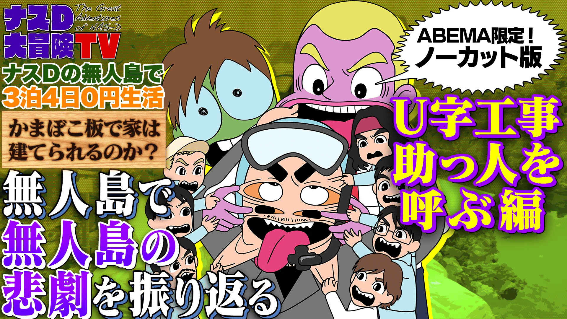 ナスdの大冒険DVD 非売品無人島2泊3日