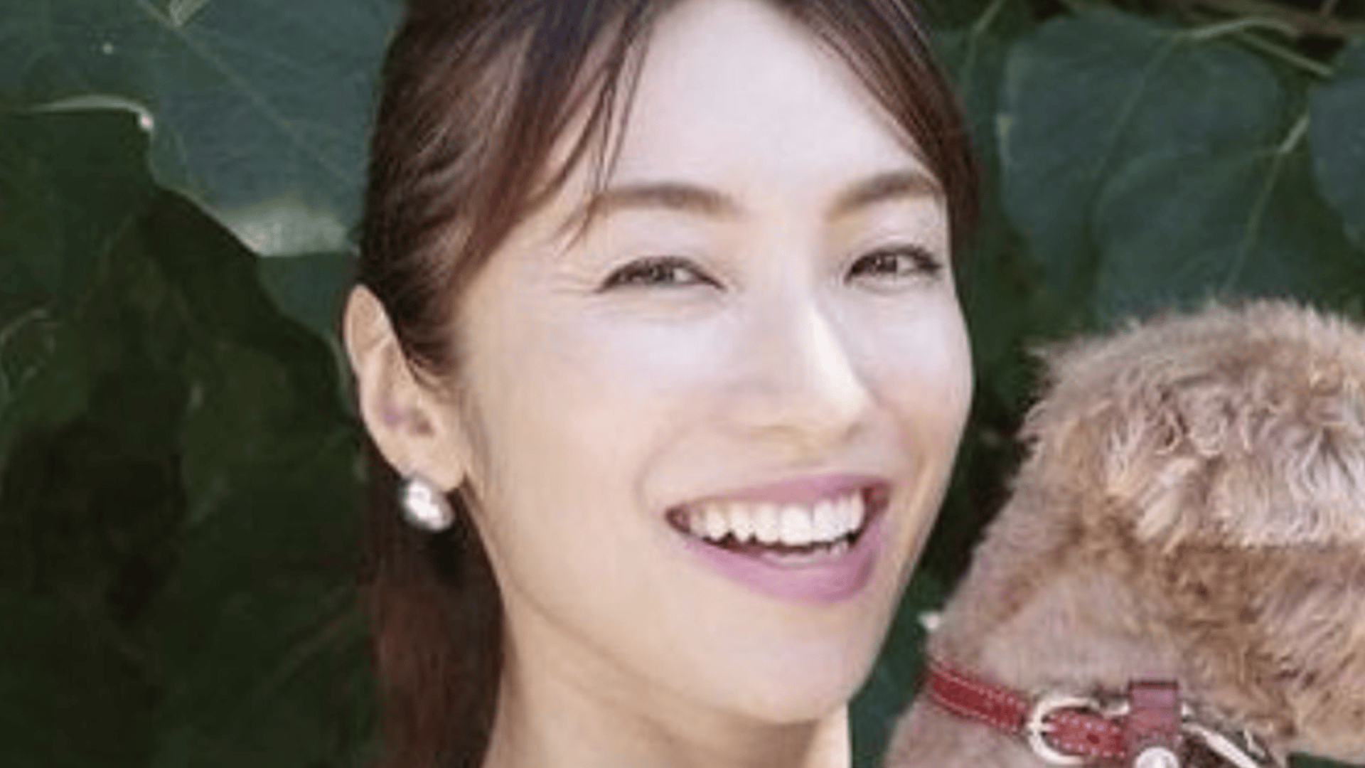 thumb001.png?height=720&