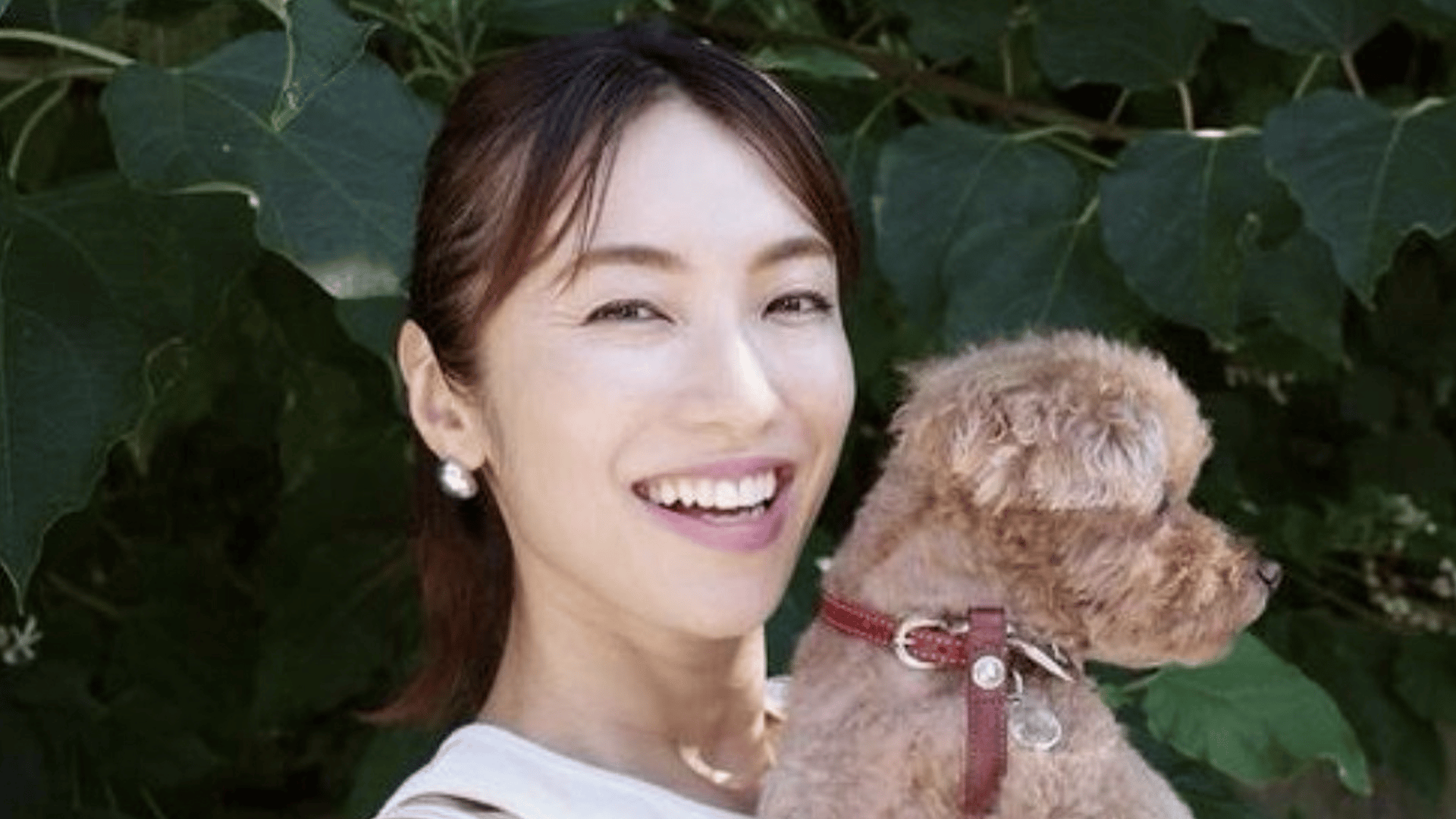 thumb001.png?height=720&