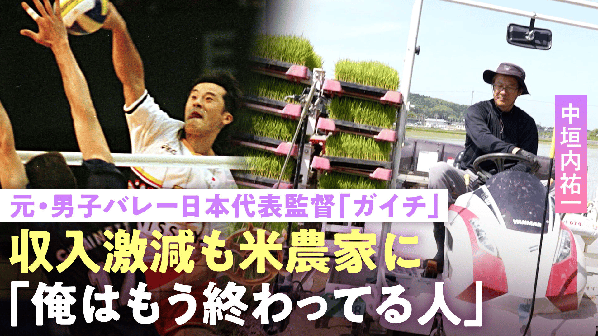 19(ジューク)】「寂しい」人気絶頂で解散…株と不動産投資でビル