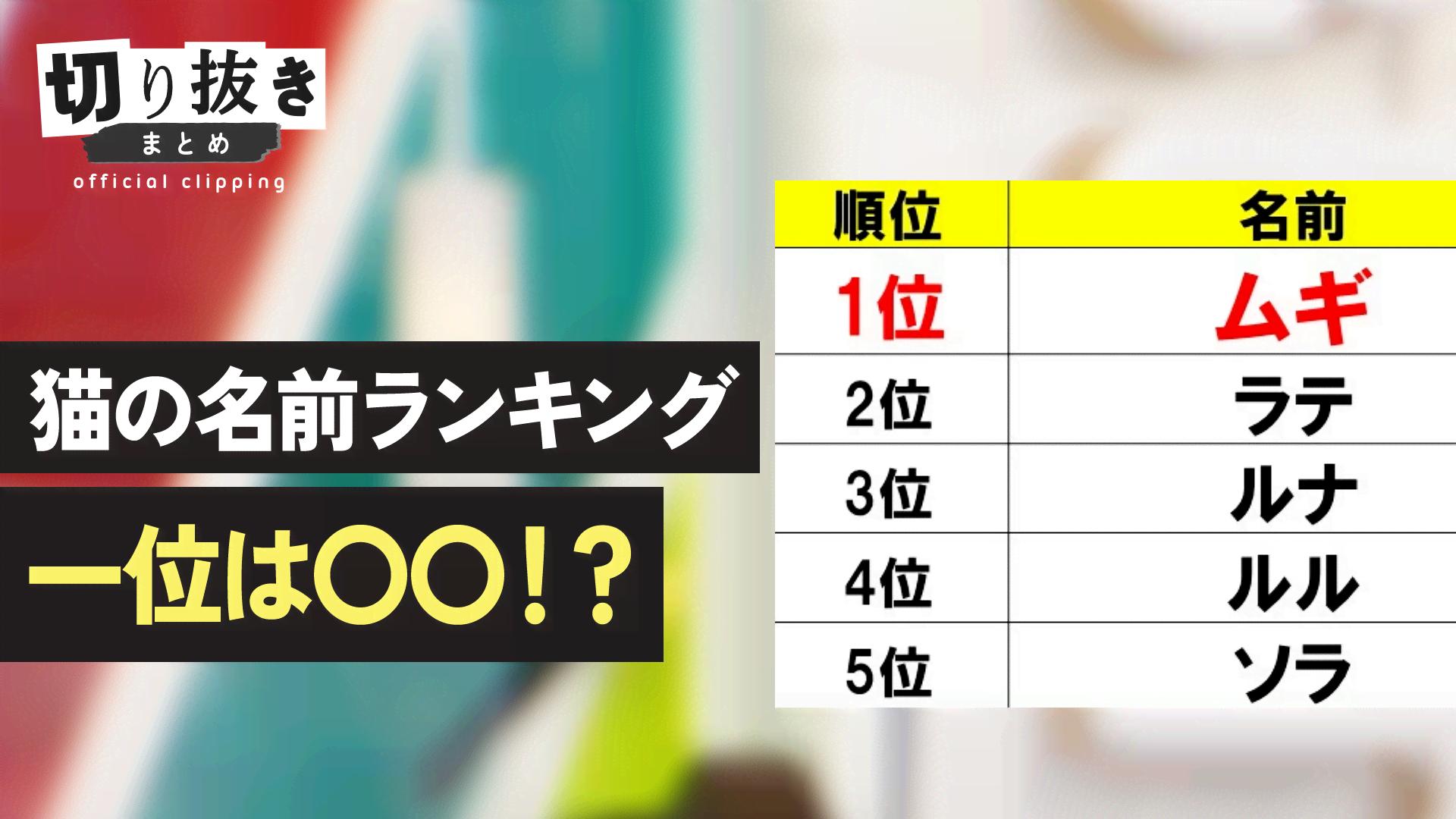 高市早苗総裁 32歳 初当選で語っていたこと - 【公式】切り抜きまとめ